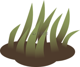 草,植物,自然