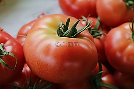 蕃茄,蔬菜,食品