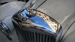 車,本特利,釀酒