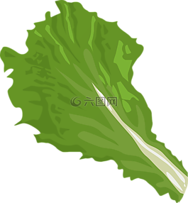 叶,绿色,植物