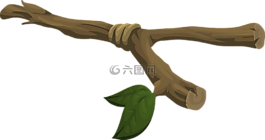 樹,分支機(jī)構(gòu),植物