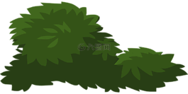 植物,綠色,葉子