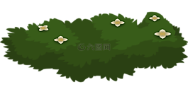 布什,植物,鮮花