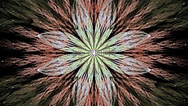 分形,花的,幻想