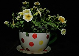 花卉,杯,花束