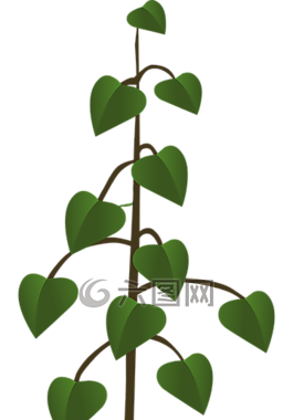 樹,植物,葉子