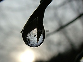 雨滴,鏡像,滴