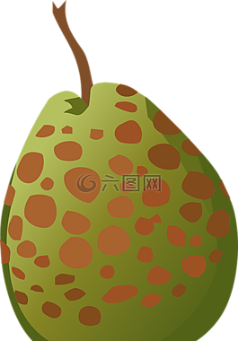 梨,水果,新鮮