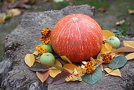 南瓜,秋,蔬菜