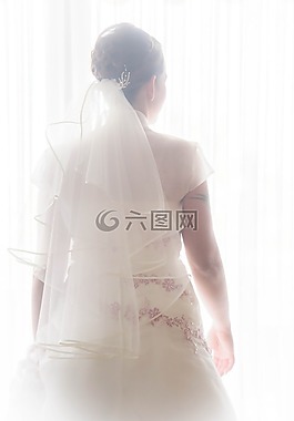 新娘,連衣裙,婚禮