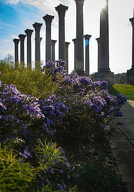 公園,鮮花,鏡頭光暈