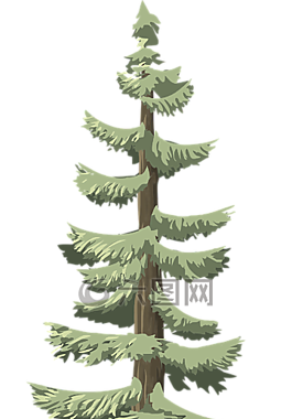 松樹,針葉樹,樹