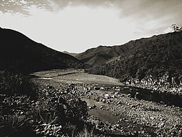 景觀,溪,河