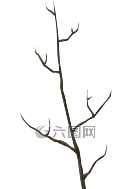 樹,死亡,秋