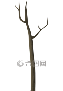 樹,死亡,秋