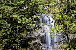 水域,性質(zhì),木