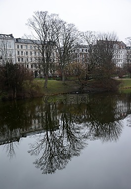 公園,樹,自然