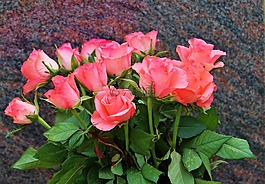 玫瑰,束玫瑰花,花束