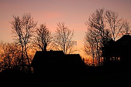 剪影,abendstimmung,樹