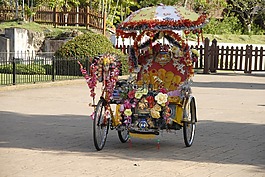 三輪車,多彩,亞洲