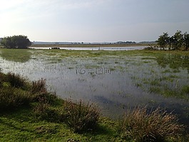 新西兰,看,水
