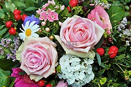 玫瑰,鮮花,安排