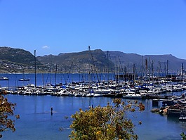 游艇,海,藍色