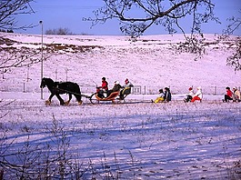 景觀,冬天,雪
