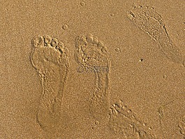 沙,海,足跡