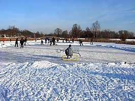 景觀,冬天,雪