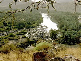 小山,山坡上,山坡上视图