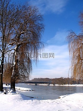 景觀,冬天,雪