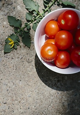 番茄,蔬菜,夏季蔬菜