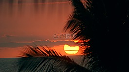 日落,生活,夏威夷