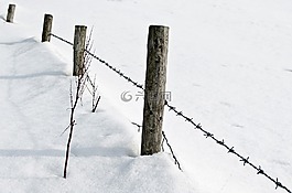 雪,降雪,白
