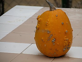 南瓜,食品,蔬菜