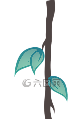 藤本植物,葉子,植物