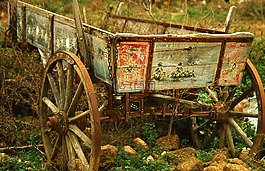 車,懷舊,教練