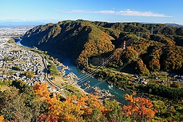 日本,秋天,秋