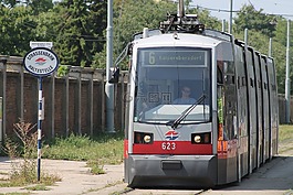《維也納條線,bim,電車