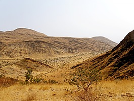 小山,丘陵,干
