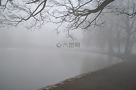公園,湖,池