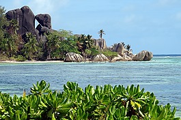 海灘,巖,熱帶地區(qū)