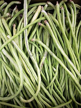 法國豆籃,綠豆,長豆