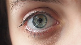 眼睛,反射,臉