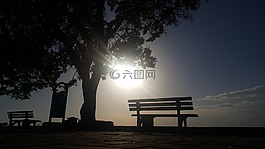 日落,樹,太陽能