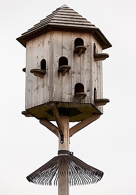 dovecot,木,房子
