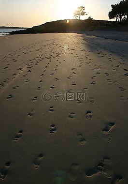 海灘,不在沙子里,砂