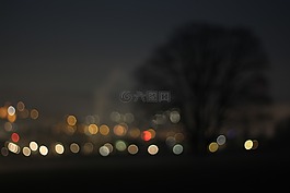 散景,樹,夜