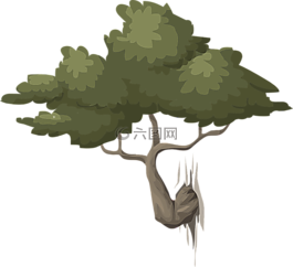 樹,自然,綠色